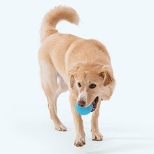 Load image into Gallery viewer, Jive Ball Dog Toy | Bouncy Treat-Dispensing Play Ball