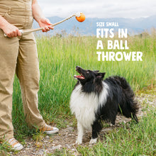 Load image into Gallery viewer, Jive Ball Dog Toy | Bouncy Treat-Dispensing Play Ball