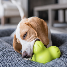 Load image into Gallery viewer, Tux Dog Chew Toy | Durable Treat-Dispensing Toy for Dogs