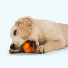 Load image into Gallery viewer, Tux Dog Chew Toy | Durable Treat-Dispensing Toy for Dogs