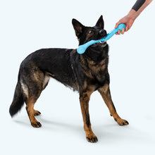 Load image into Gallery viewer, Zwig Dog Chew Toy | Natural Feel Twig Toy for Curious Dogs